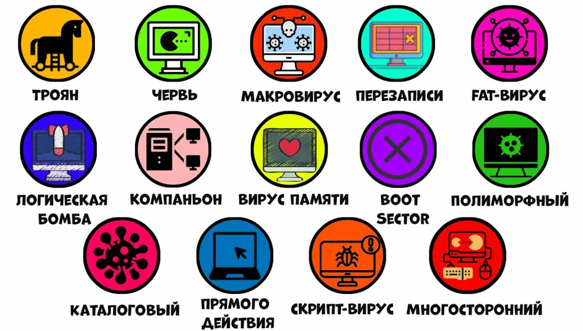 Вирусы